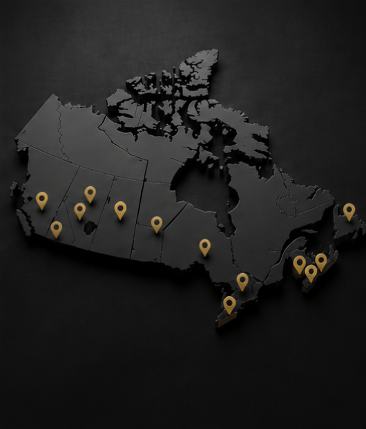 Fast Canadian Shipping